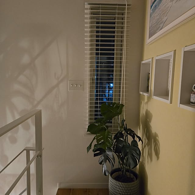 nonbiri_house_さんの部屋