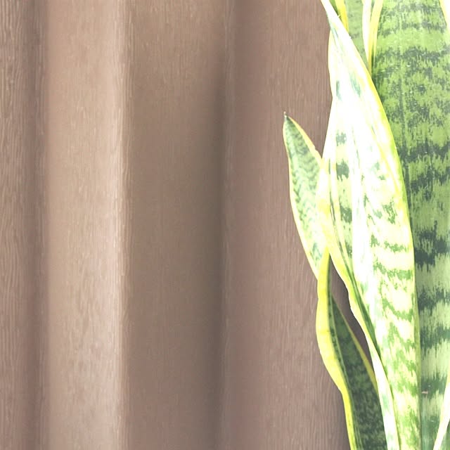 koheiさんの実例写真
