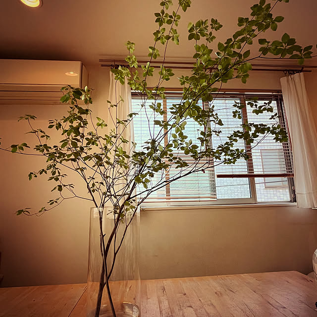 matsuさんの部屋