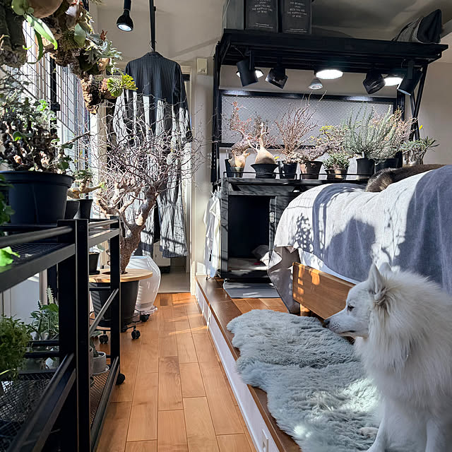 nuruiさんの実例写真