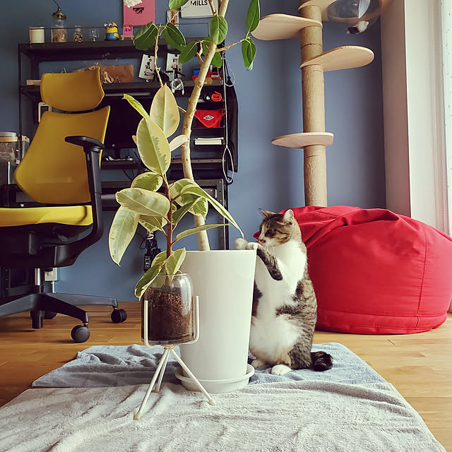 jinroさんの実例写真