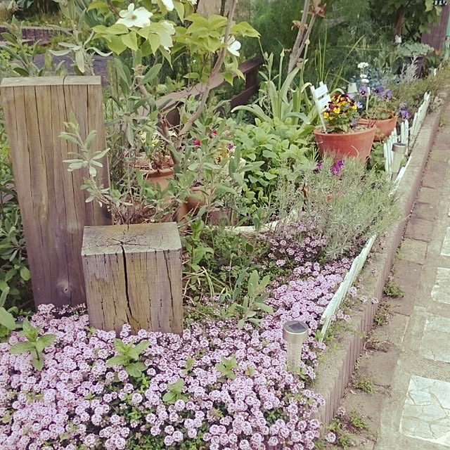 hinataさんの実例写真