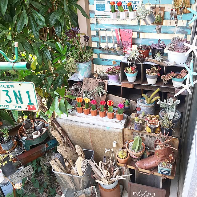 edenさんの実例写真