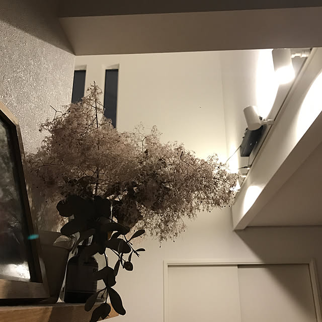Ayumiさんの実例写真
