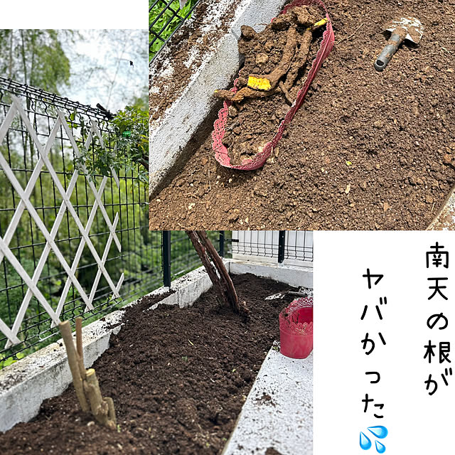kittyさんの部屋