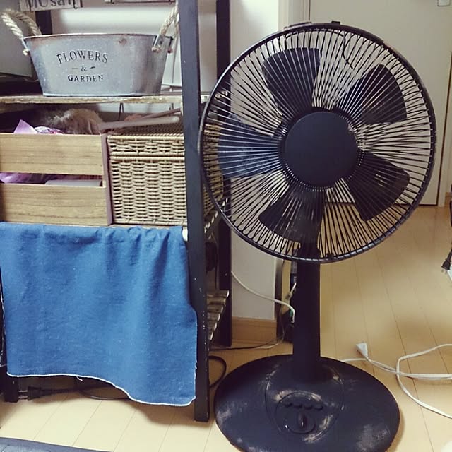 soraさんの実例写真