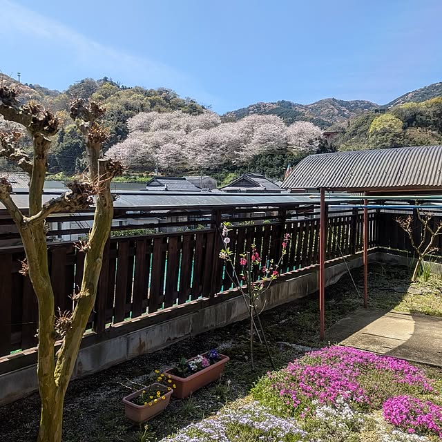 kuririnmamaさんの実例写真