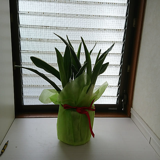 jijichanさんの実例写真
