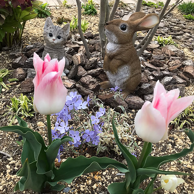 akoさんの実例写真