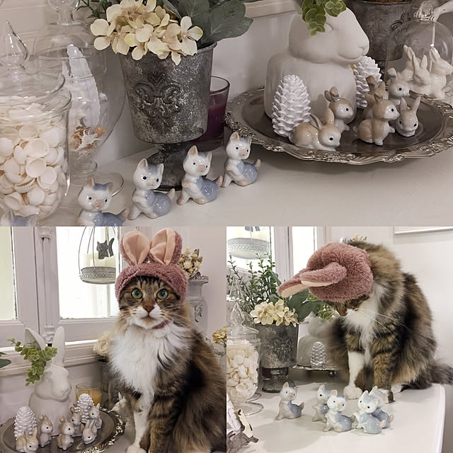 yuchiさんの実例写真