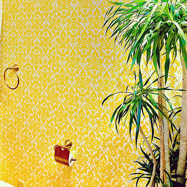 観葉植物/DIY/バス/トイレのインテリア実例 - 2022-04-27 12:34:33