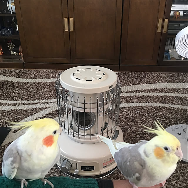 puriyuzuさんの実例写真