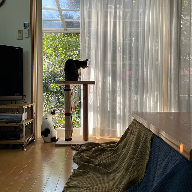nobikoさんの実例写真