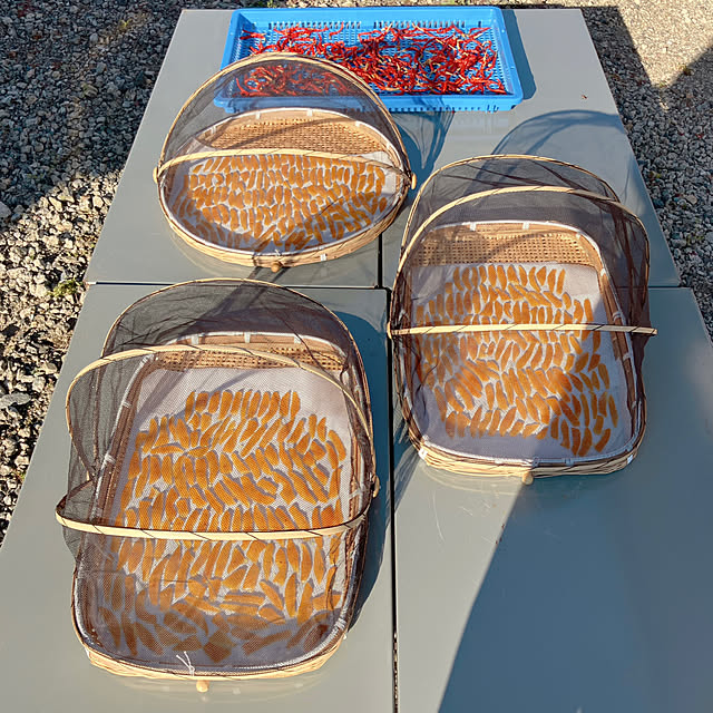 pineappleさんの実例写真