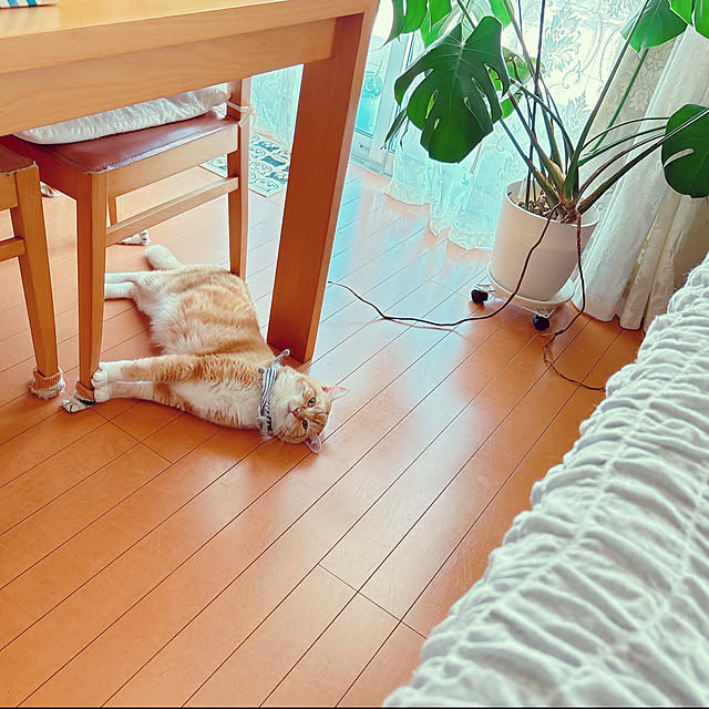 moolさんの部屋