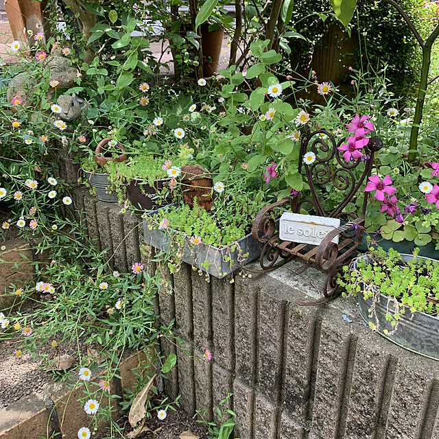 miicyanさんの実例写真