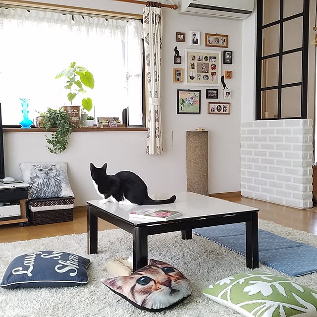 Kinanさんの実例写真