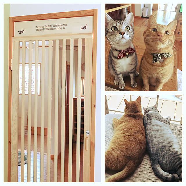 mako0301さんの実例写真