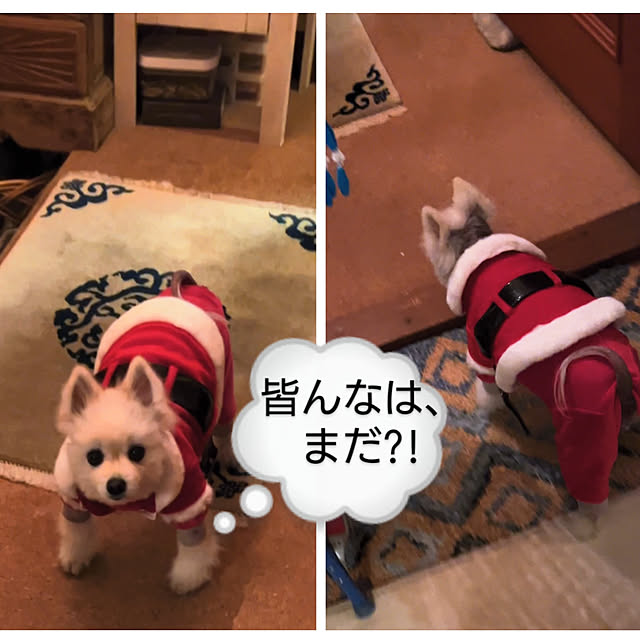 akaidarumaさんの部屋
