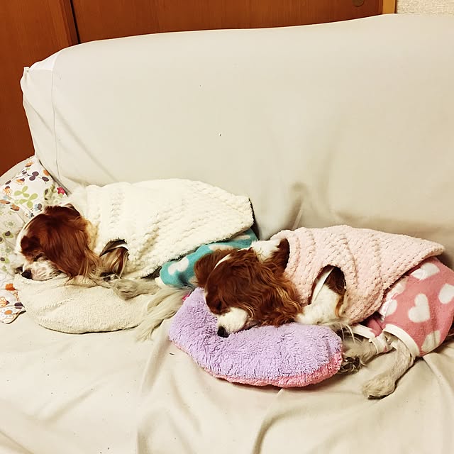 canmilmamaさんの実例写真