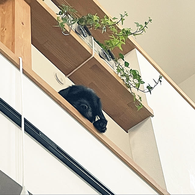 marinkoさんの実例写真