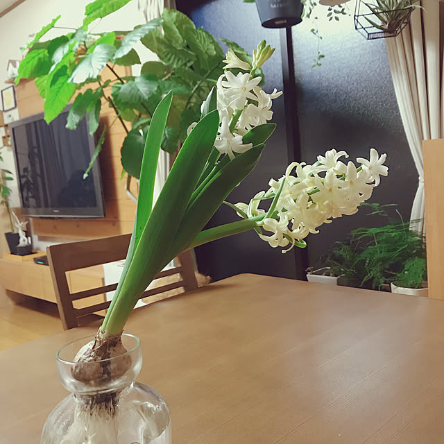 yukaさんの実例写真
