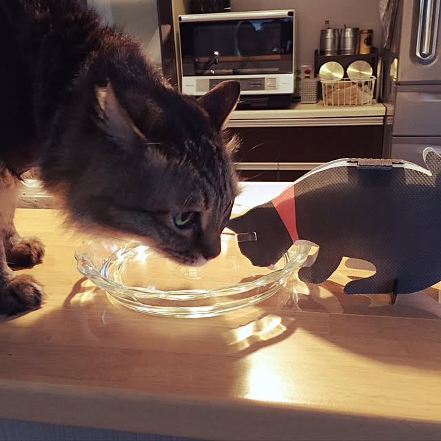 yuki0511さんの実例写真