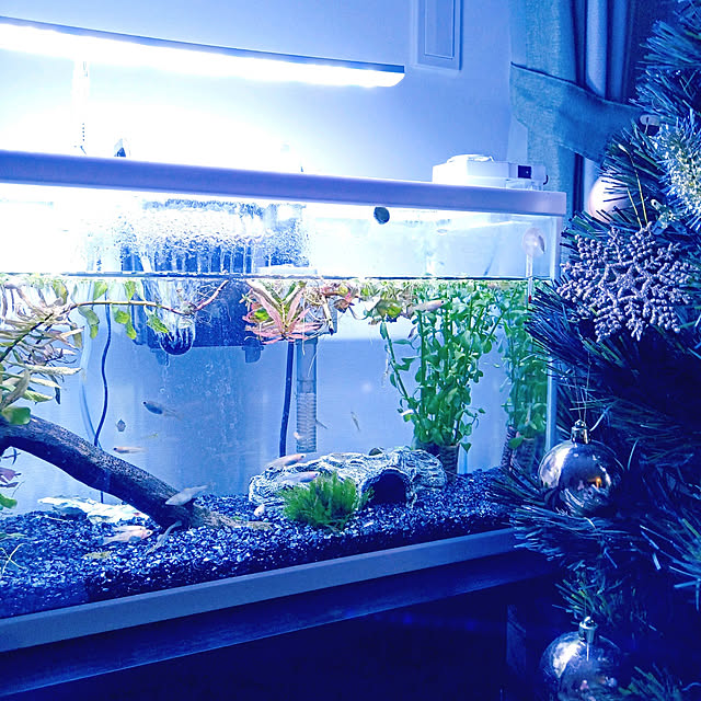 aquaさんの実例写真