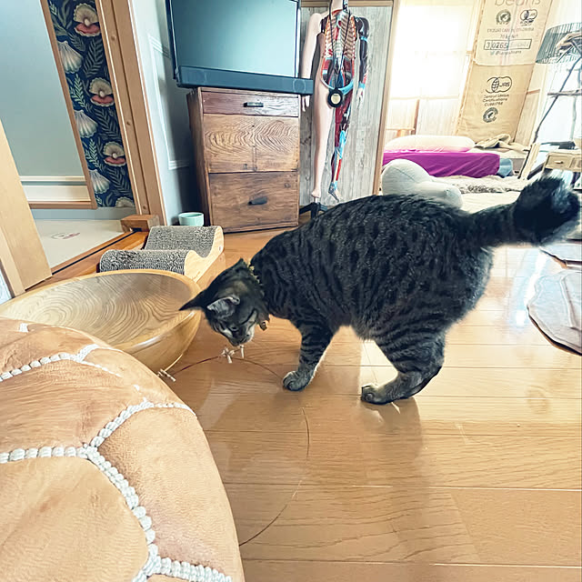 Mさんの実例写真