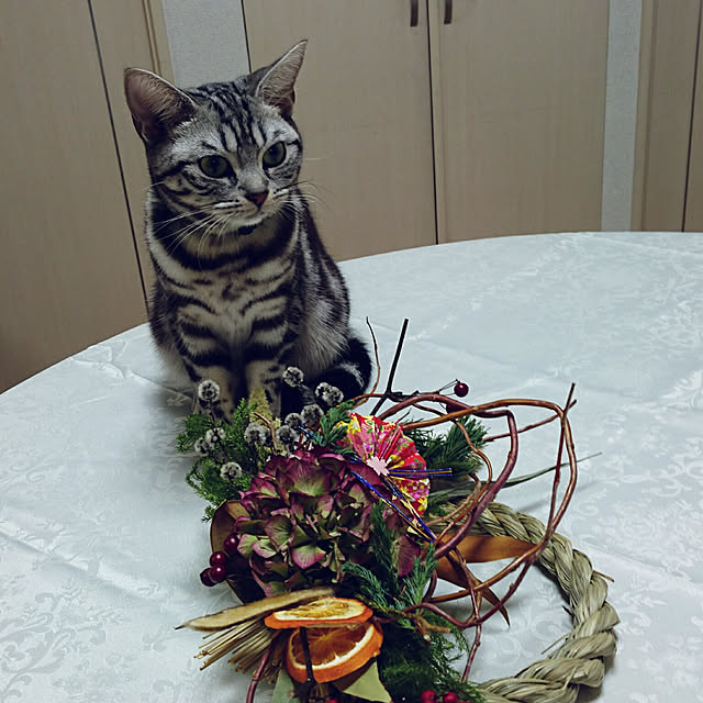 CatClipさんの実例写真