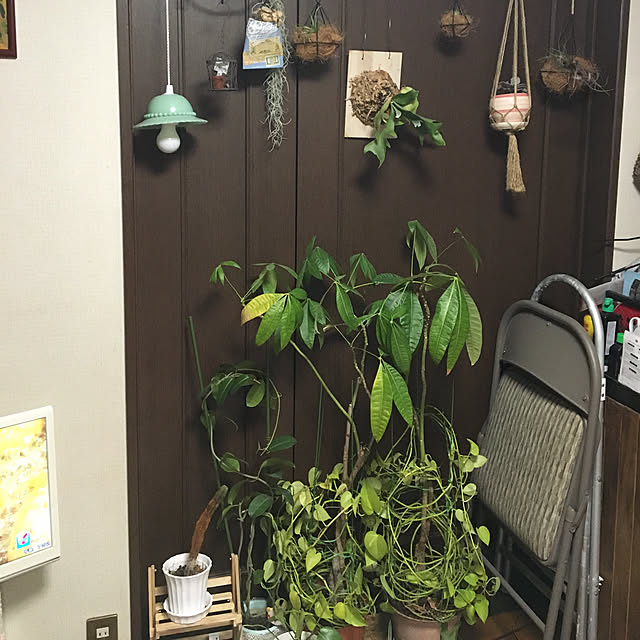 dainaoreiさんの実例写真