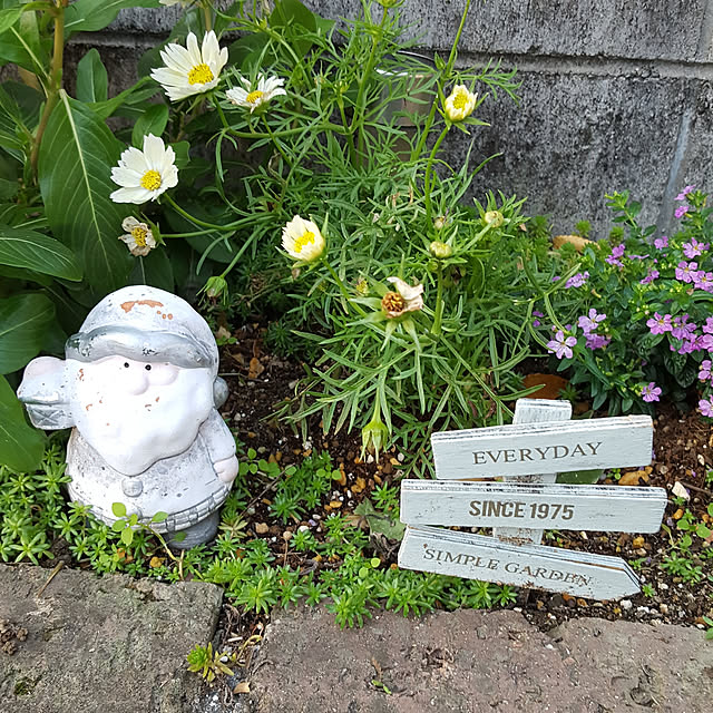 natyenaoさんの実例写真