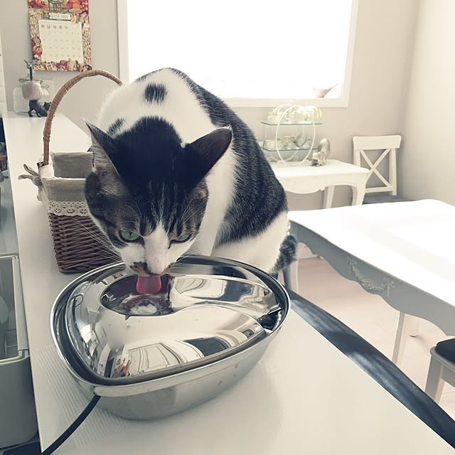 yuchiさんの実例写真