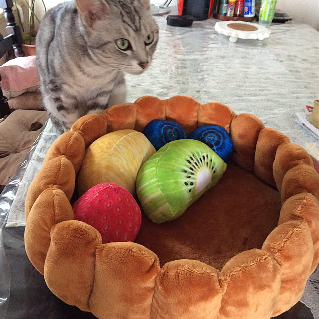 momokiriさんの実例写真
