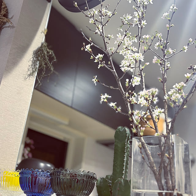 ha1111noさんの実例写真