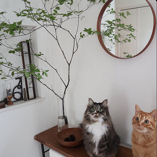 Hisashiさんの実例写真