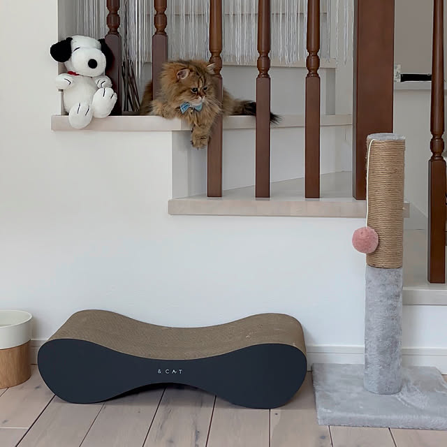 リビング/ホワイトオークの階段/手摺り壁/＆CAT/無垢床...などのインテリア実例 - 2026-03-21 00:34:51