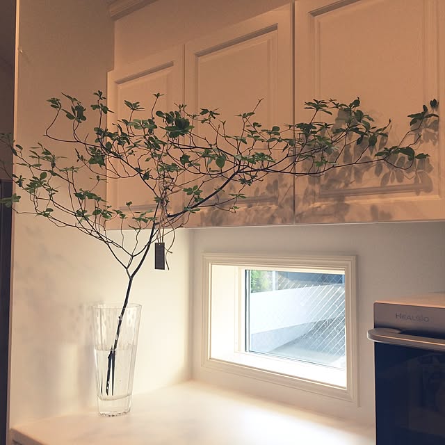 キッチン/観葉植物のインテリア実例 - 2015-09-03 21:59:00