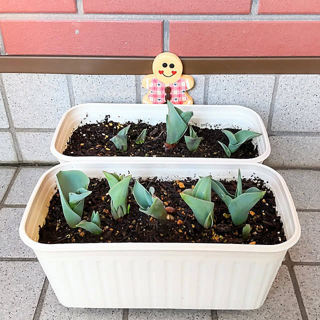 nanaさんの実例写真