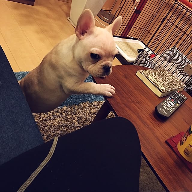 atsushi19781230さんの実例写真