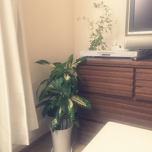 creamskimmingさんの実例写真