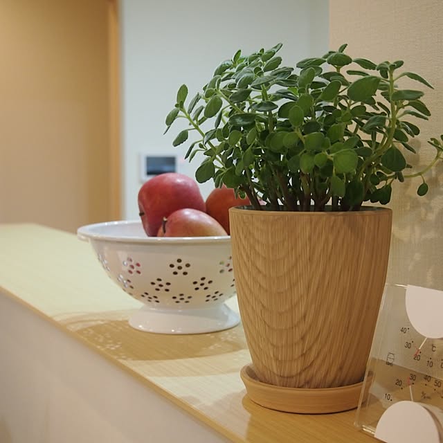 kepeさんの実例写真