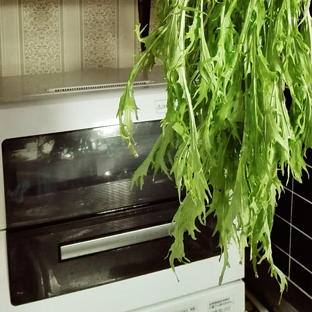 kikuさんの実例写真