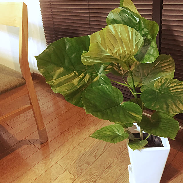 semasema.homeさんの実例写真