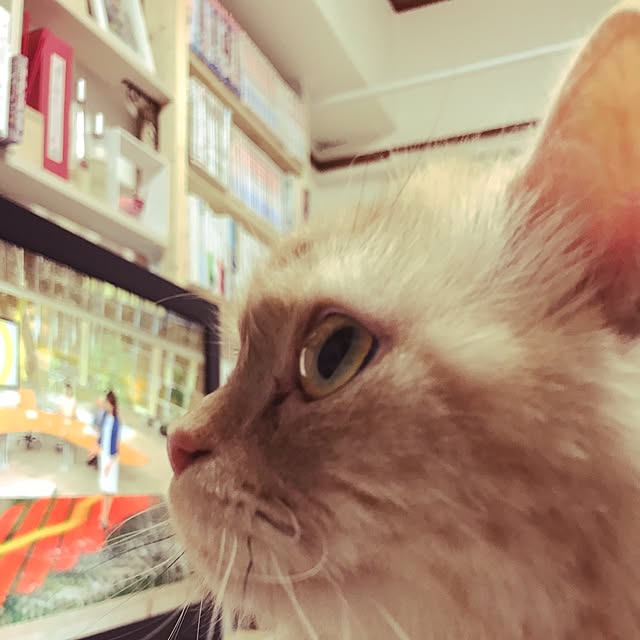 roseさんの実例写真