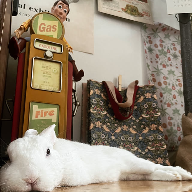kuraraさんの部屋