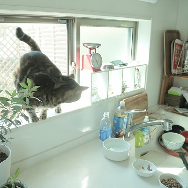 haruhouseさんの実例写真