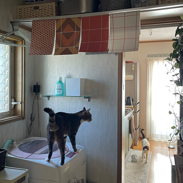 nobikoさんの部屋