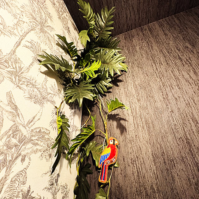 ymymcurryさんの部屋