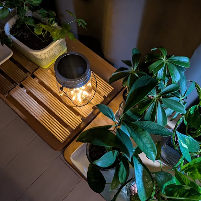 mi-saさんの実例写真